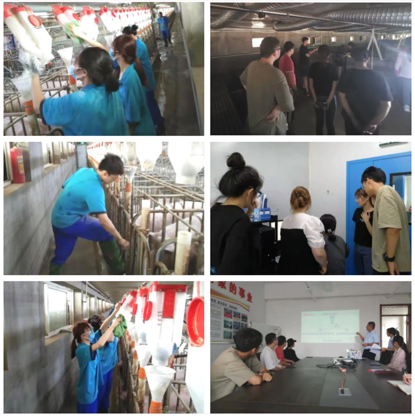 1655859916309355.png 12.png