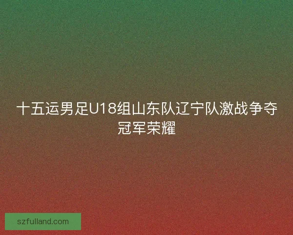 十五运男足U18组山东队辽宁队激战争夺冠军荣耀